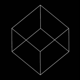 The cube