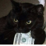 ミGet Money Boys
