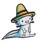 axolotl-group offical