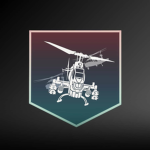 1st Air Cavalary Battalion