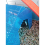 Free Guinea pig stuff