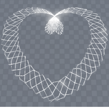 Polar Equation Tester