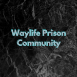 Waylife Netherlands