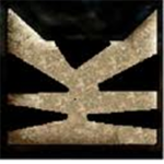 Tigerclan of worriors
