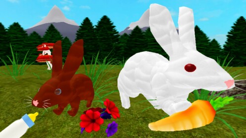🐰Rabbit Simulator🐰