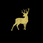 Golden Deer Studios