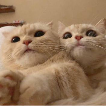 ☺