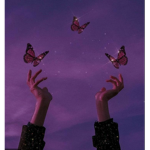 Butterfly’s . groups