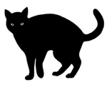 [Ro-Ghoul] Super Cat