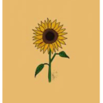 ~Sunflower Seeds~