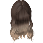 Brown and Blonde Hair