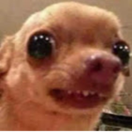 SUSY ROBUX