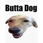 butter dog team