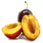 РLUMS