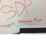 Singapore democratic people
