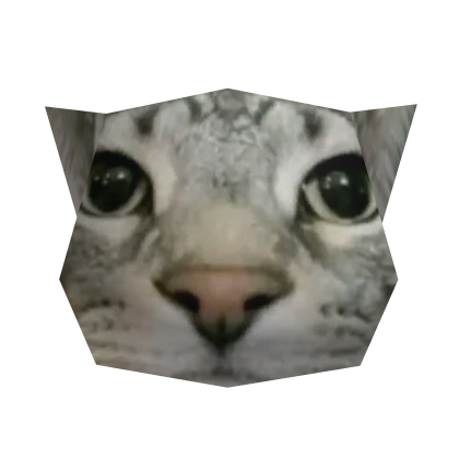 Low Poly Bruh Cat Head Roblox item