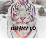 Galaxy Co.