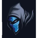 Ninja Advent X