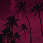 M A L A M E N T E