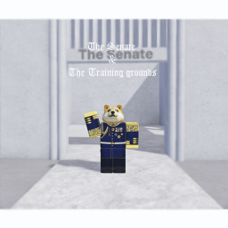 Senate Meeting [UPDATE]