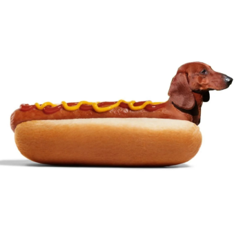 hotdog