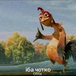 іба чотко обби iба
