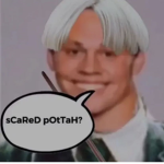 Malfoy Studios