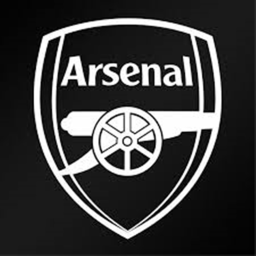[Arsenal]  MPS-PREMİER-LEAGUE-STAD