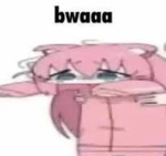 the bwaaa