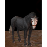 *White Mountain Stables*