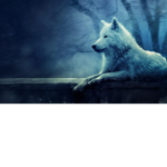 ewwolfie group