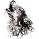 Team Howling Wolf