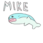 mike fish