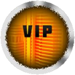 VIP Award