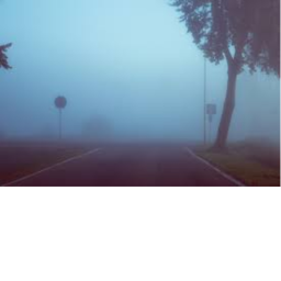 escape the fog obby