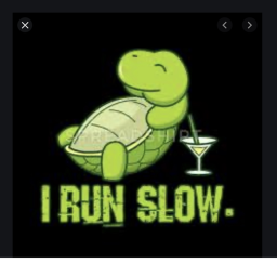 Turtle run [NEW GAME COMING]
