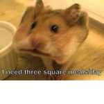 Splixz