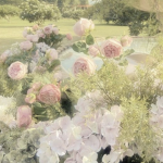 - fallen petals -
