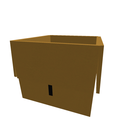 Cardboard Box [opened]