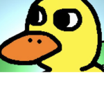 DUCK ARMY 2023