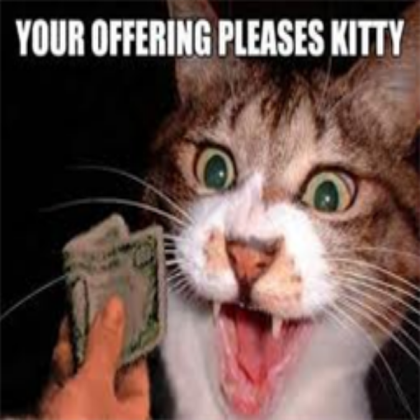 Funny cat 2 Roblox decal