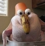 chicken gamesss