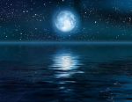 THE NIGHT TIME COMMUNITY