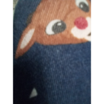 Rudolph Fam