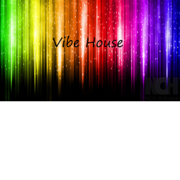 Vibe House