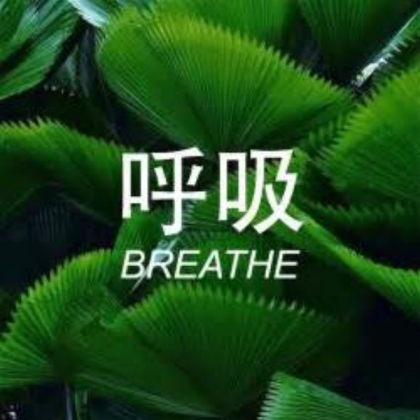 green aesthetic Roblox decal