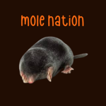 The Mole NATION