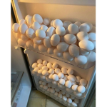 EGG CULT FAMILY