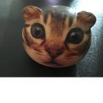 Cats are better than dogs fan group