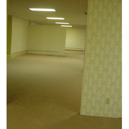 THE BACKROOMS (BETA)